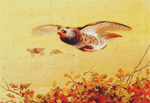 English Partridge In Flight - X Squared Cross Stitch