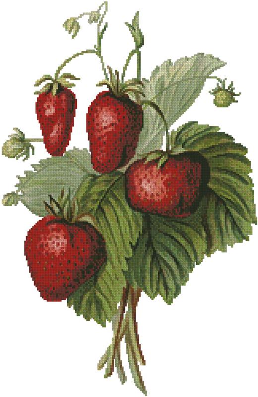 Strawberries Painting - Artecy Cross Stitch