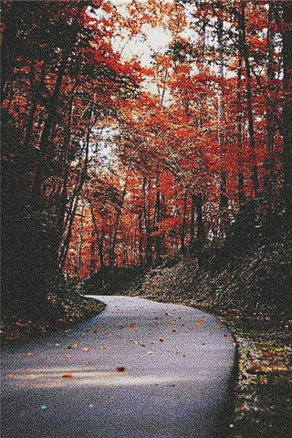 Orange Leaves Over A Road - X Squared Cross Stitch