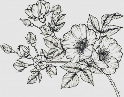 Rosa Canina - X Squared Cross Stitch