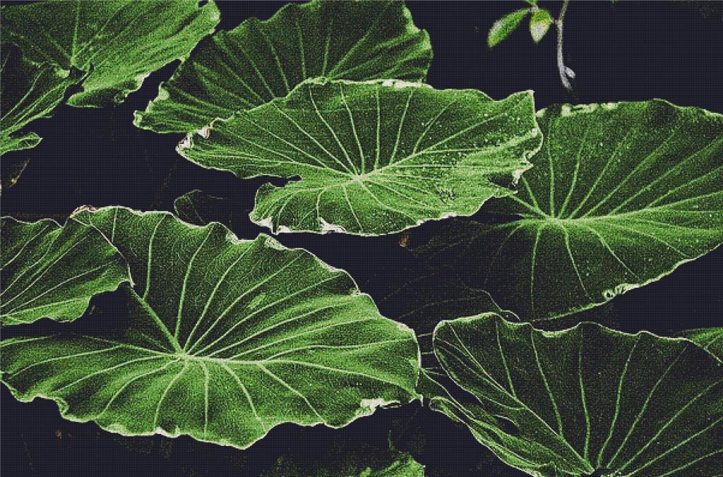 Lotus Leaves - X Squared Cross Stitch