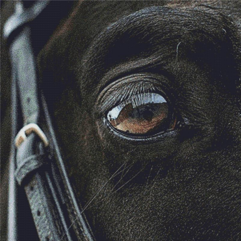 Horse Eye I - X Squared Cross Stitch