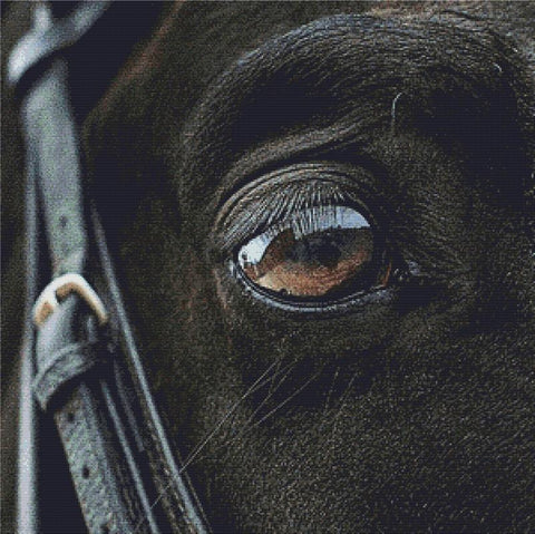 Horse Eye I - X Squared Cross Stitch