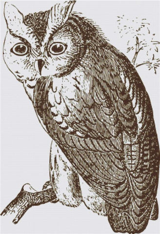 Owl Illustration - X Squared Cross Stitch