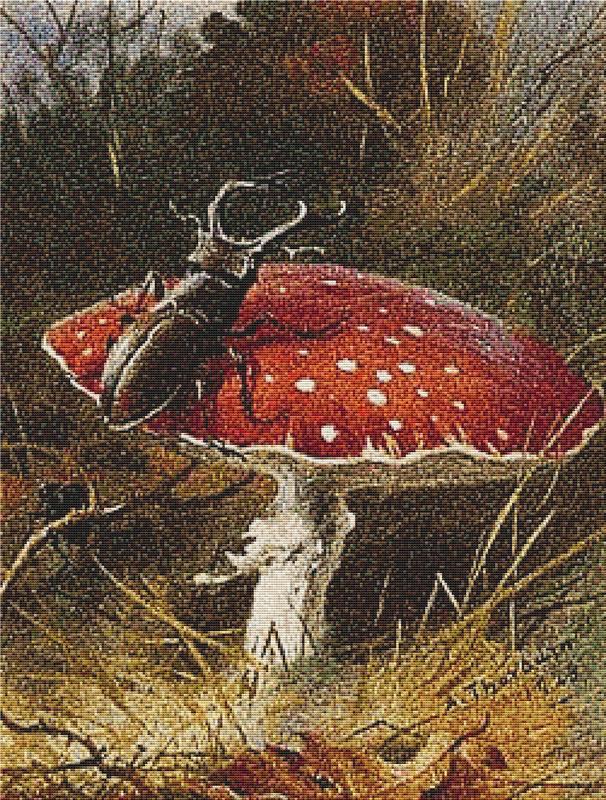 A Stag Beetle On A Toadstool - X Squared Cross Stitch