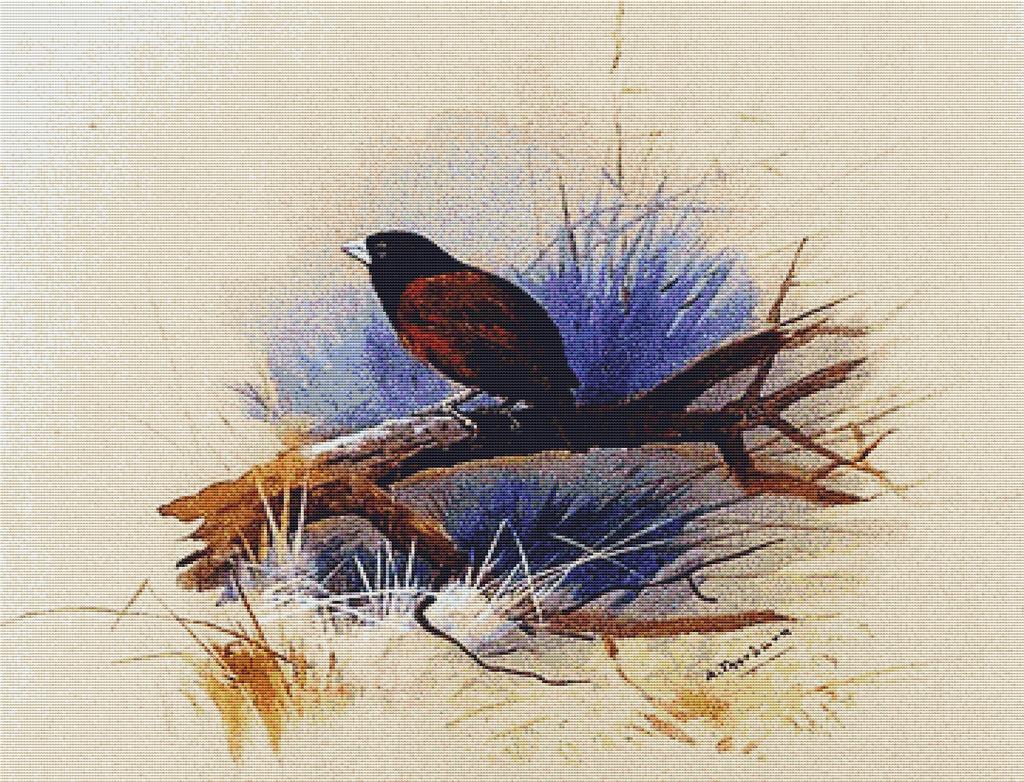 A Nepalese Black Headed Nun In The Branch Of A Tree - X Squared Cross Stitch