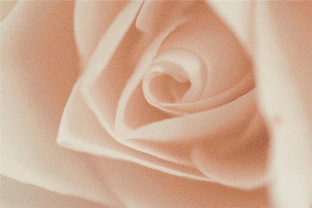 Pastel Rose - X Squared Cross Stitch