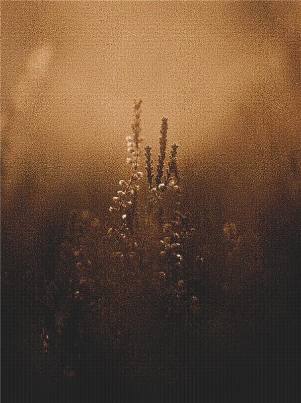 Fog At Sunset - X Squared Cross Stitch