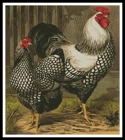 Wyandotte Chickens - Artecy Cross Stitch