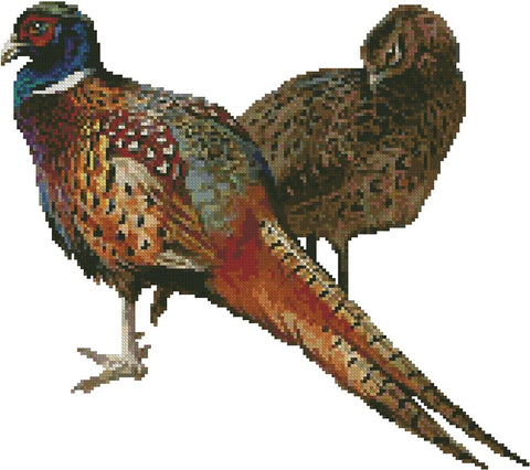 Pheasants (No Background) - Artecy Cross Stitch