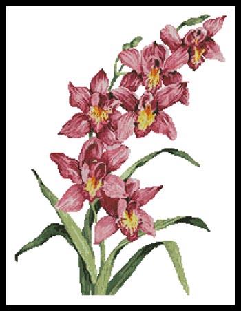 Pink Cymbidium - Artecy Cross Stitch