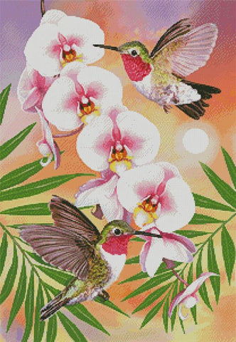 Annas Hummingbirds With Phalaenopsis - Artecy Cross Stitch