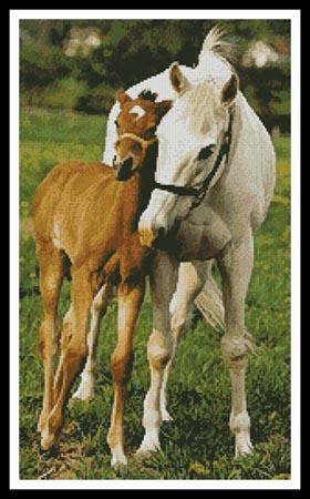 Mare And Foal Photo - Artecy Cross Stitch