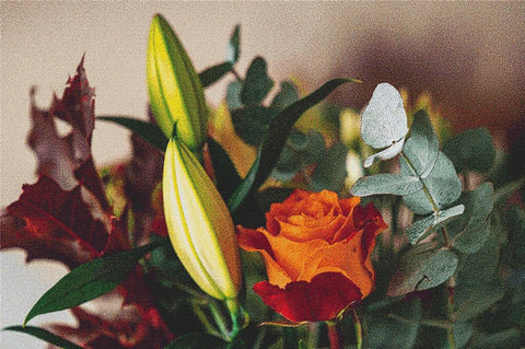 Flower Arrangement - X Squared Cross Stitch