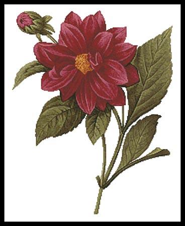 Dahlia Double - Artecy Cross Stitch