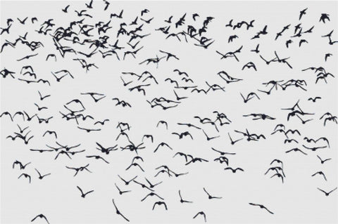 Flock of Birds I - X Squared Cross Stitch