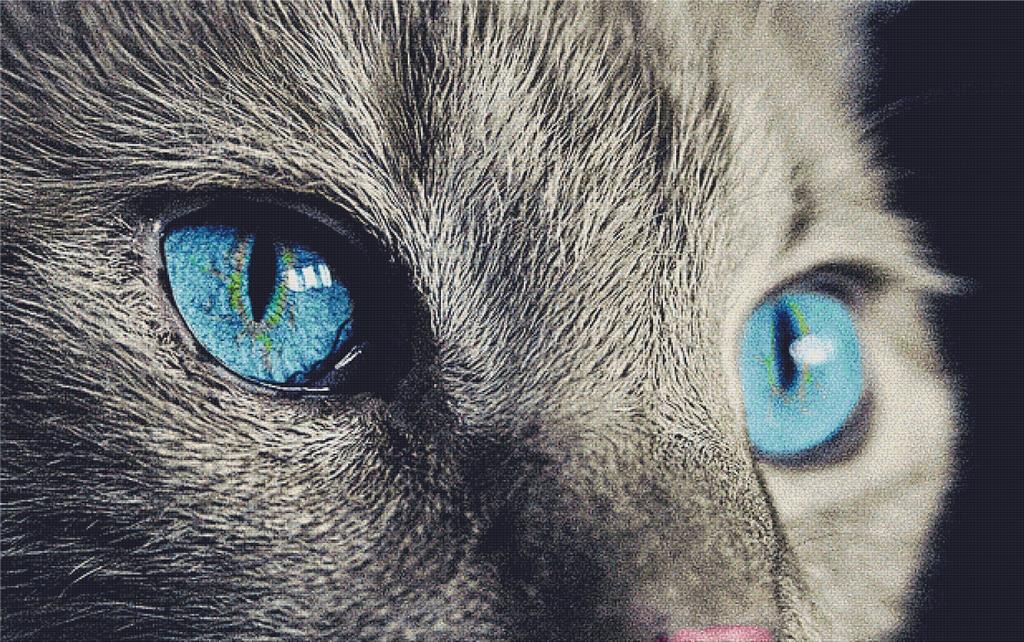 Blue Eyes - X Squared Cross Stitch
