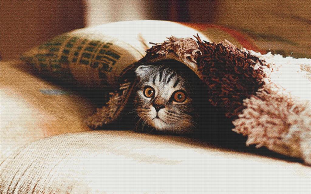 Crouching Tiger, Hidden Kitten - X Squared Cross Stitch