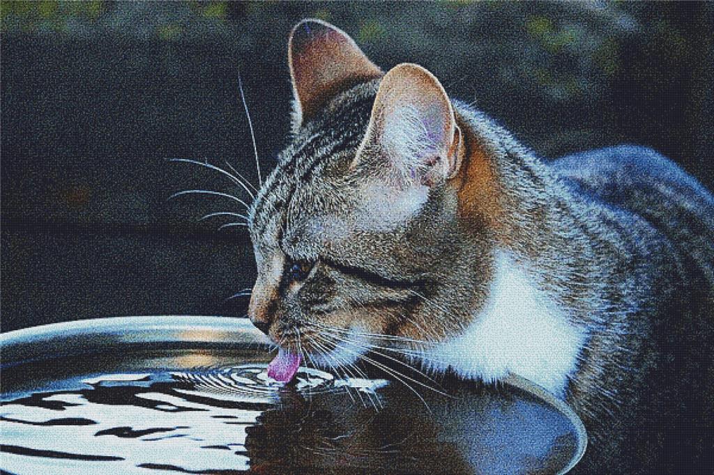 Cat Drinking - X Squared Cross Stitch