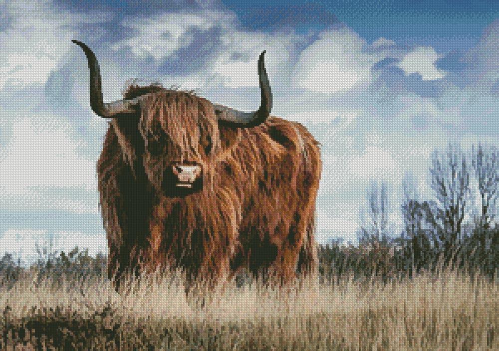 Highland Bull - Artecy Cross Stitch