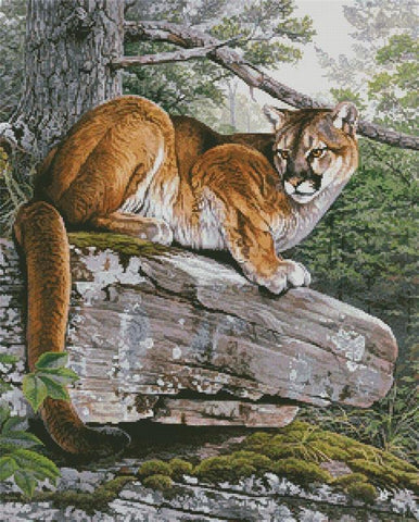 Eastern Cougar - Artecy Cross Stitch