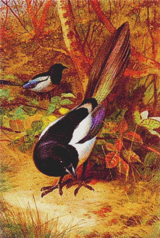 Magpies - X Squared Cross Stitch