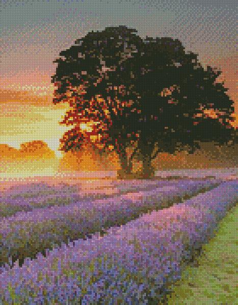 Mayfair Lavender At Sunrise (Crop) - Artecy Cross Stitch