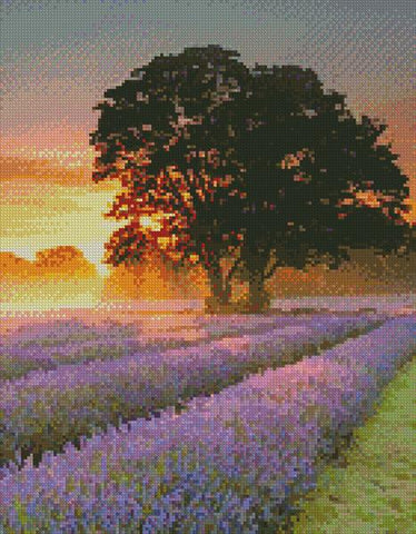 Mayfair Lavender At Sunrise (Crop) - Artecy Cross Stitch