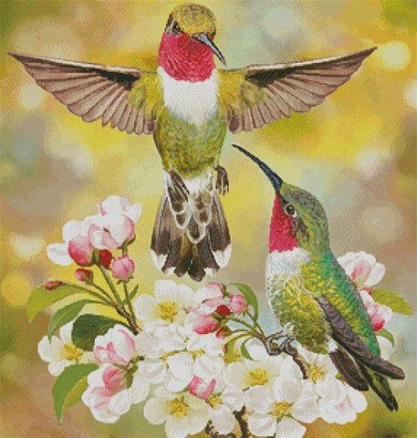 Hummingbird Challenger - Artecy Cross Stitch