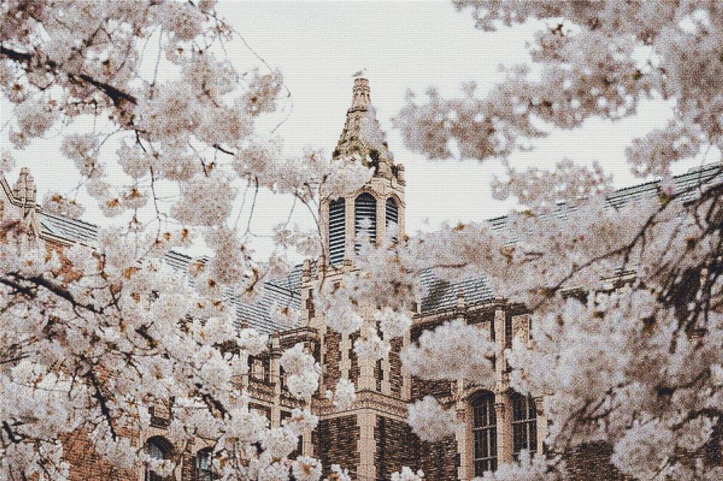 Steeple Through The Cherry Blossoms - X Squared Cross Stitch