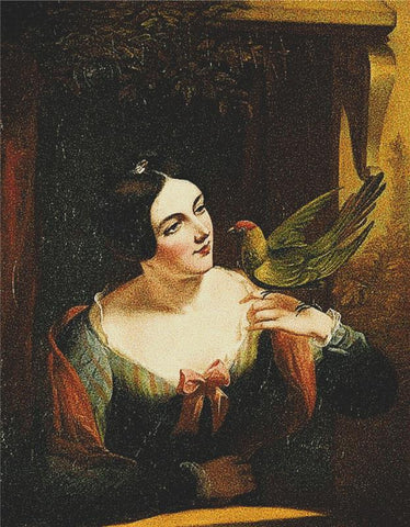 The Friendly Bird - X Squared Cross Stitch