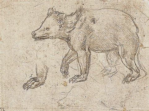 Study Of A Bear Walking - X Squared Cross Stitch