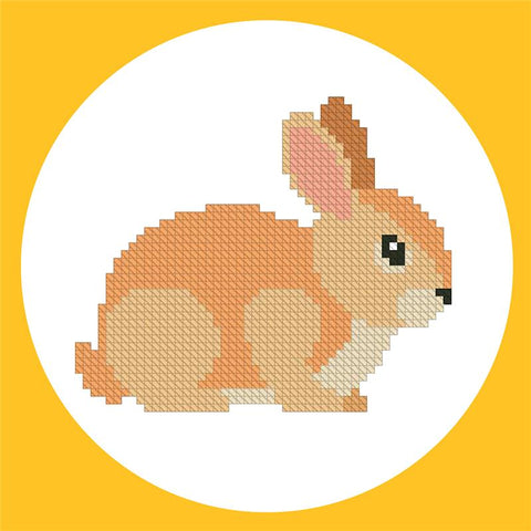 Little Bunny - Kiokiz
