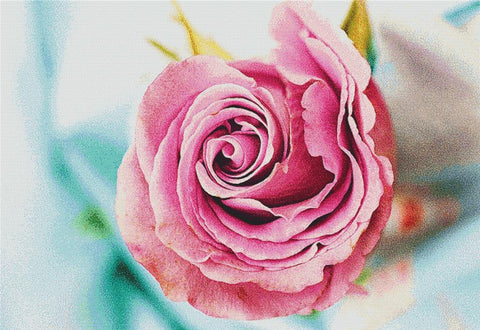 Pink Rose - X Squared Cross Stitch