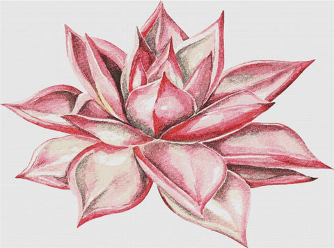 Beautiful Pink Succulent - X Squared Cross Stitch