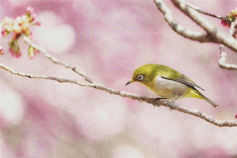 Bird Among The Cherry Blossoms - X Squared Cross Stitch