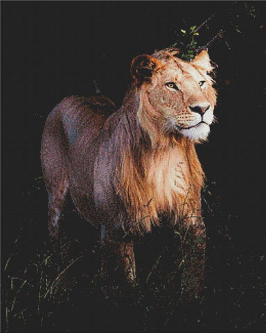 Majestic Lion - X Squared Cross Stitch