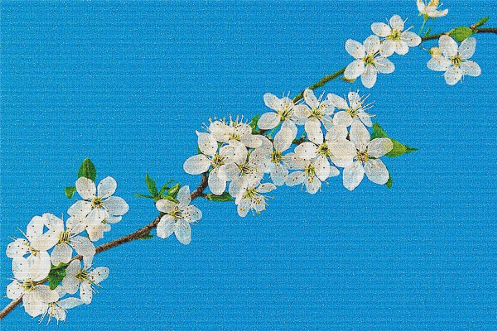 Cherry Blossoms Against A Blue Sky - X Squared Cross Stitch