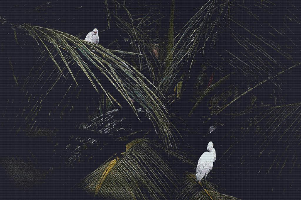 Birds In Kerala - X Squared Cross Stitch