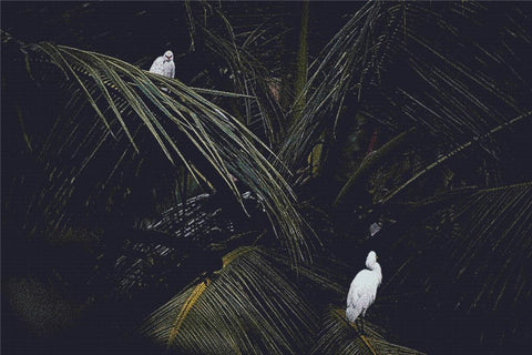 Birds In Kerala - X Squared Cross Stitch