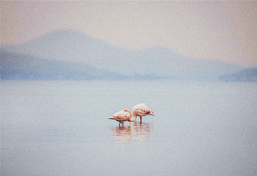Beautiful Flamingos - X Squared Cross Stitch