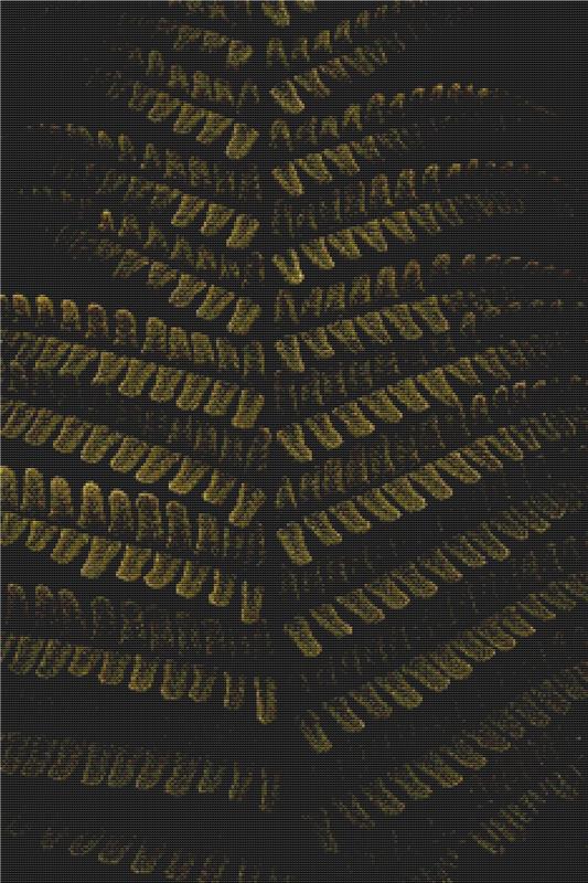 Detail Of A Fern - X Squared Cross Stitch