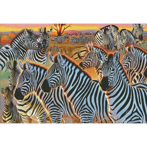 Zebra Collage - Charting Creations