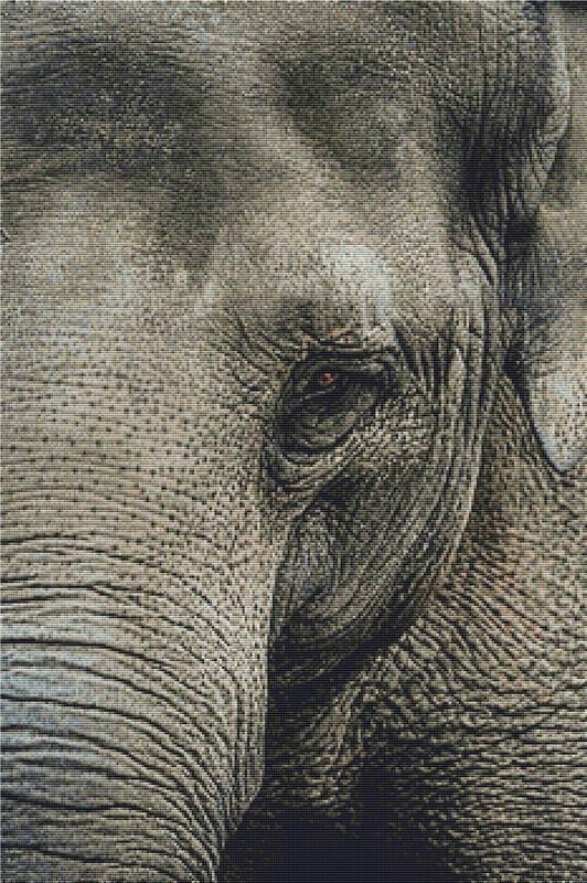 Elephant Portrait - X Squared Cross Stitch
