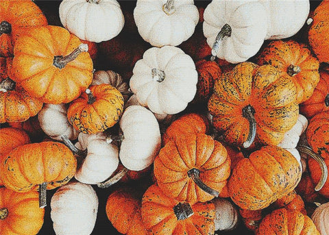 Pumpkin Harvest - X Squared Cross Stitch