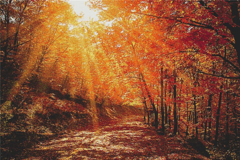 Red Autumn - X Squared Cross Stitch