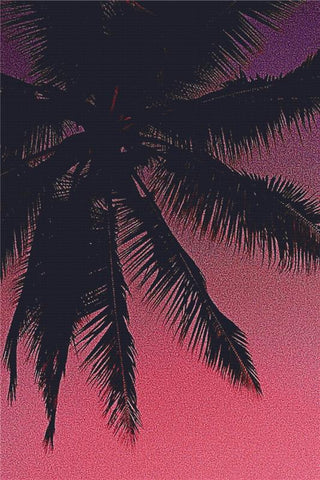Sunset In A Tropical Paradise - X Squared Cross Stitch