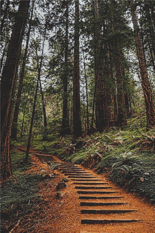 Path Through The Woods - X Squared Cross Stitch