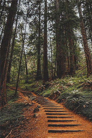 Path Through The Woods - X Squared Cross Stitch