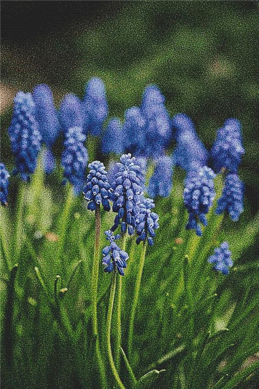 Blue Spring Flowers - X Squared Cross Stitch